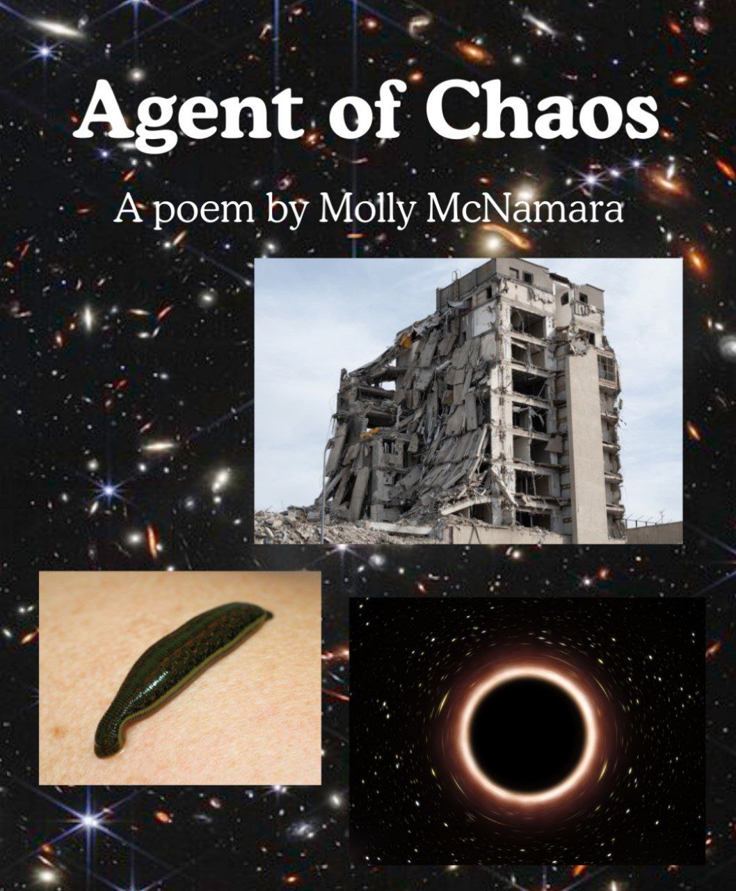 Agent Of Chaos - A poem by Molly McNamara